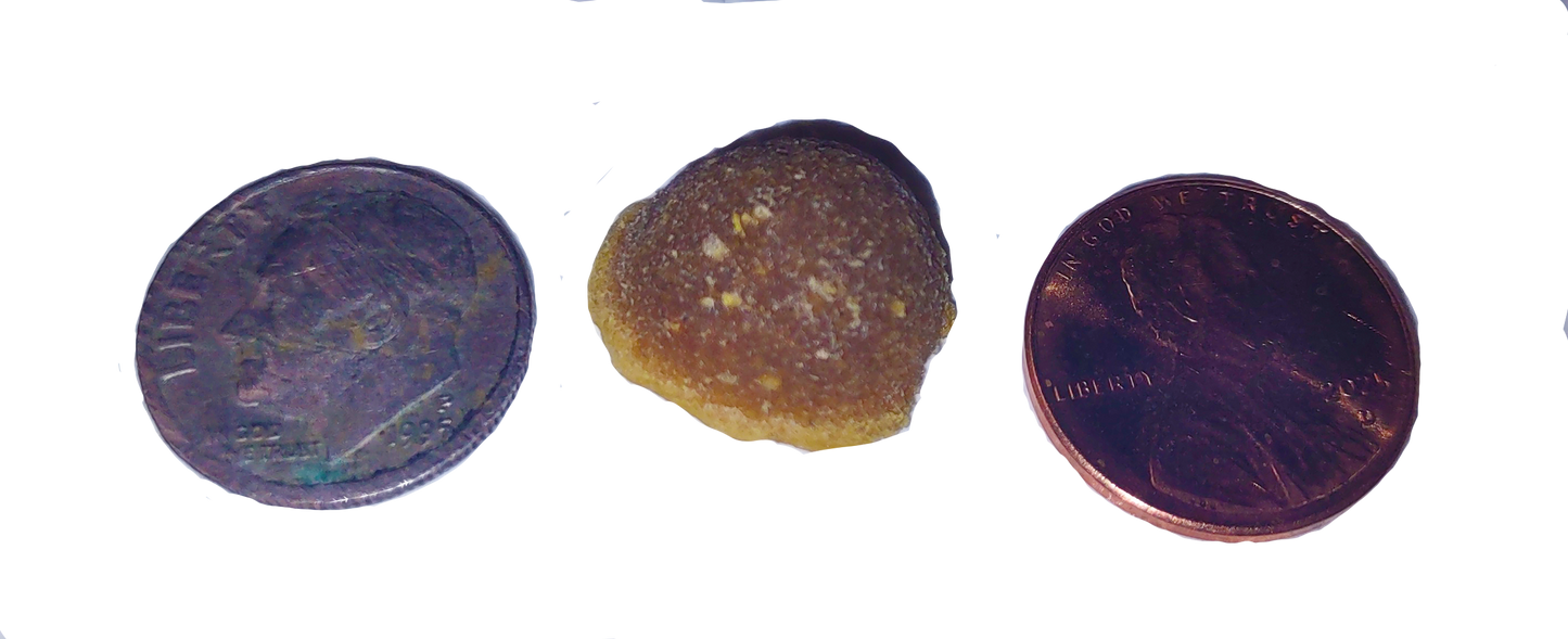 Salmon Dog and Cat Treats 3 ounce size