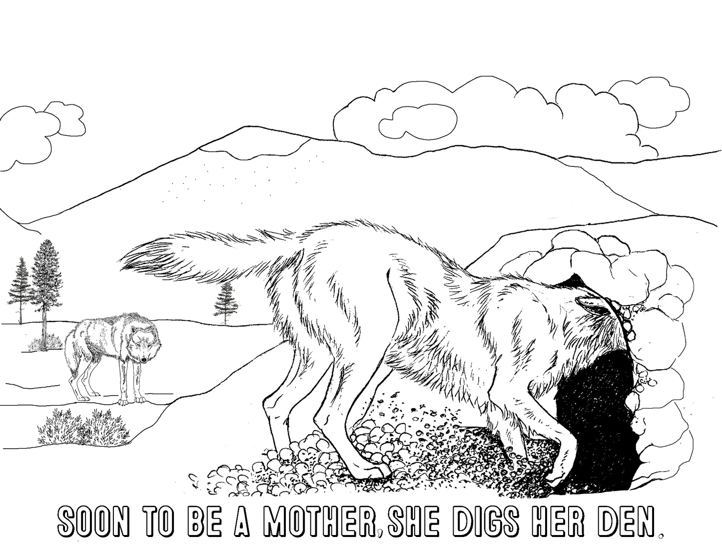 THE WOLF FAMILY A Christian educational coloring book
