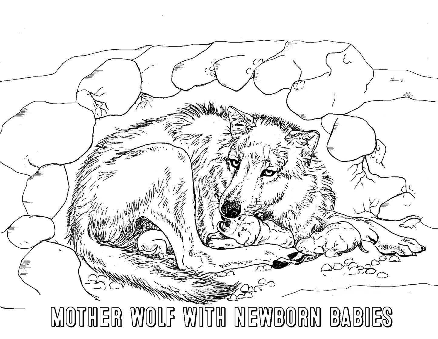 THE WOLF FAMILY A Christian educational coloring book
