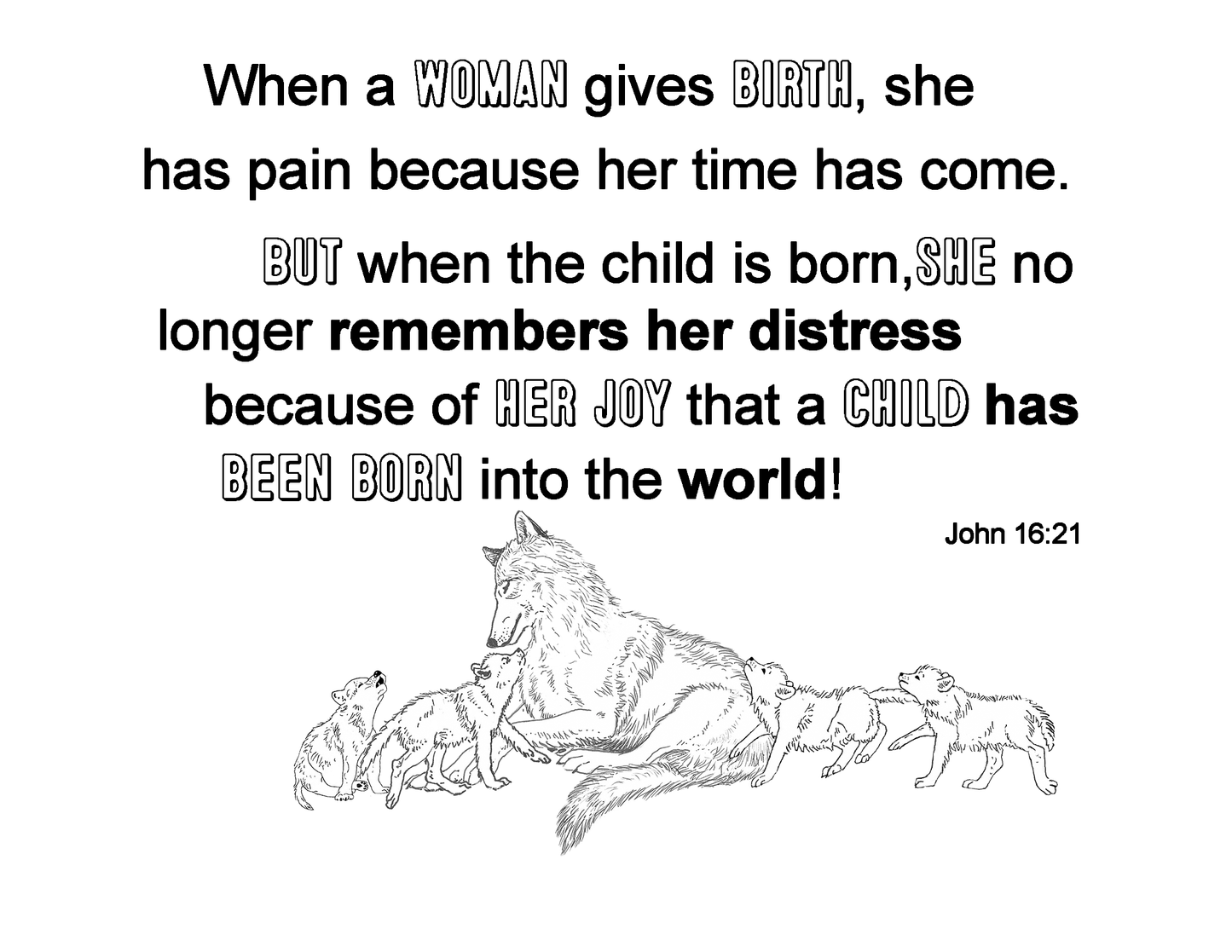 THE WOLF FAMILY A Christian educational coloring book