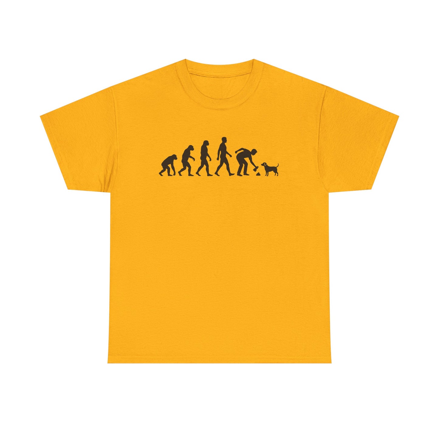 Evolution of man