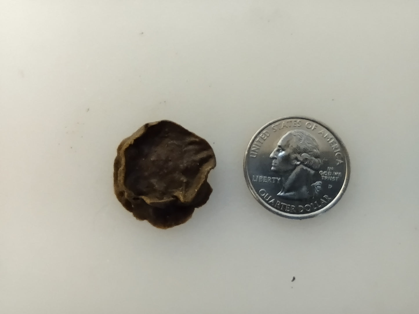 Wolf Daddy's Howling Beef Liver Small Bites COMBO