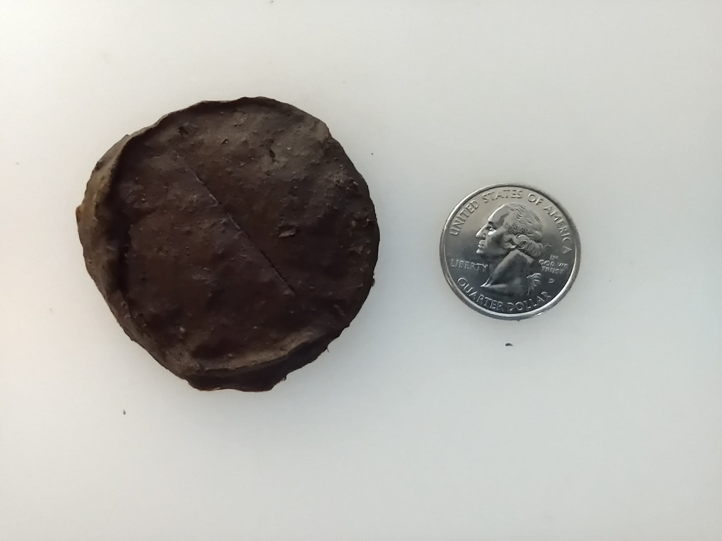 Wolf Daddy's Howling Beef Liver treats 2 pack