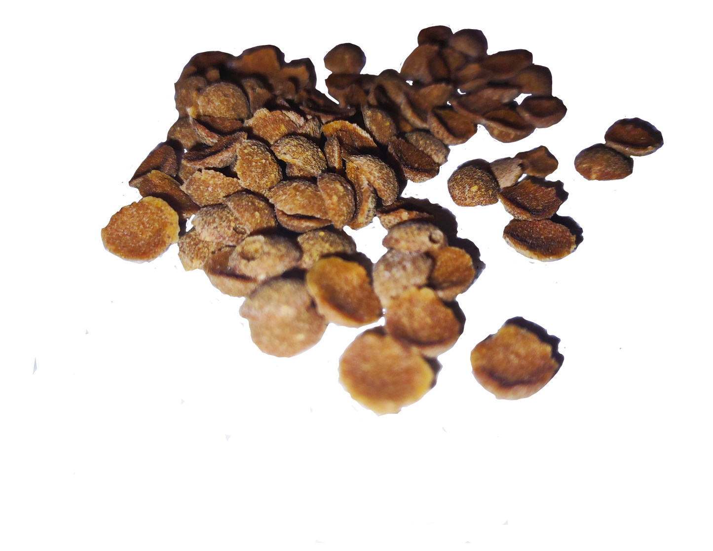 Salmon Dog and Cat Treats 3 ounce size